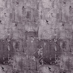 RIVERSIDE 100% Cotton KING Size Bedsheet, 250 TC, PURPLE.