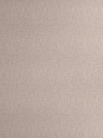 TEXTURE 100% Cotton King Size Bedsheet, 250 TC, CAMEO ROSE.