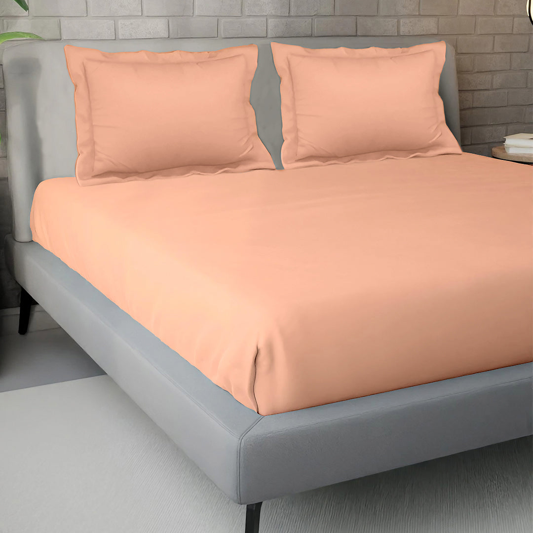 PASTELS 100% Cotton Queen Size Bedsheet, 300 TC,APRICOT