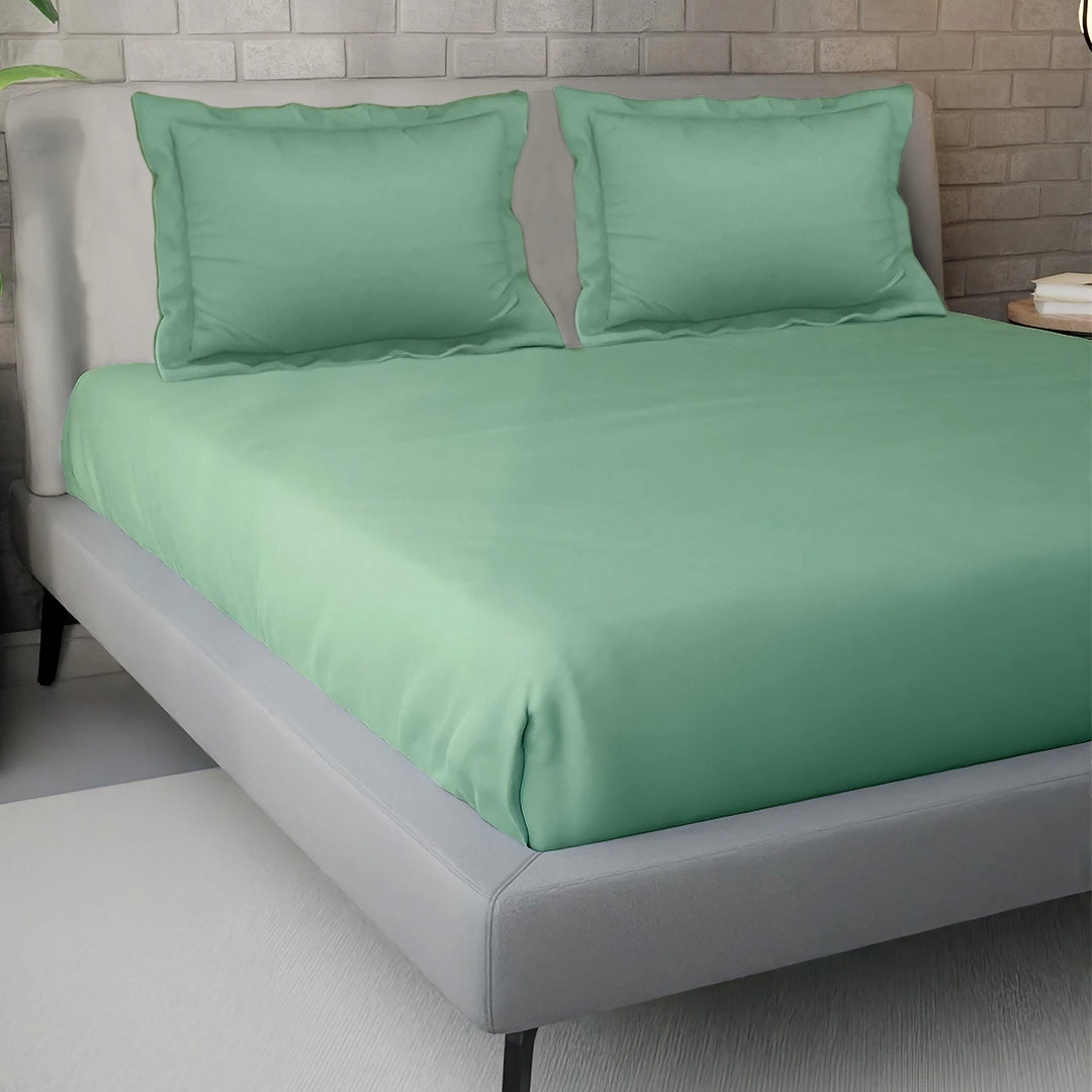 PASTELS 100% Cotton KING Size Bedsheet, 300 TC, GREEN