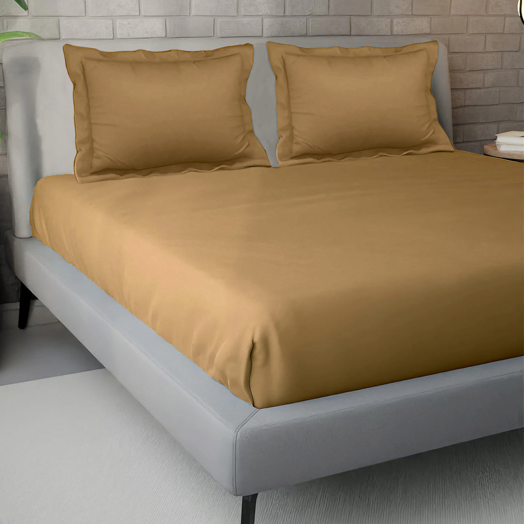 PASTELS 100% Cotton KING Size Bedsheet, 300 TC, BROWN