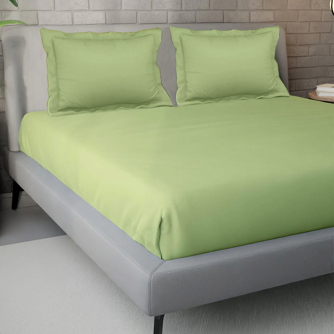 PASTELS 100% Cotton KING Size Bedsheet, 300 TC,AQUA GREEN