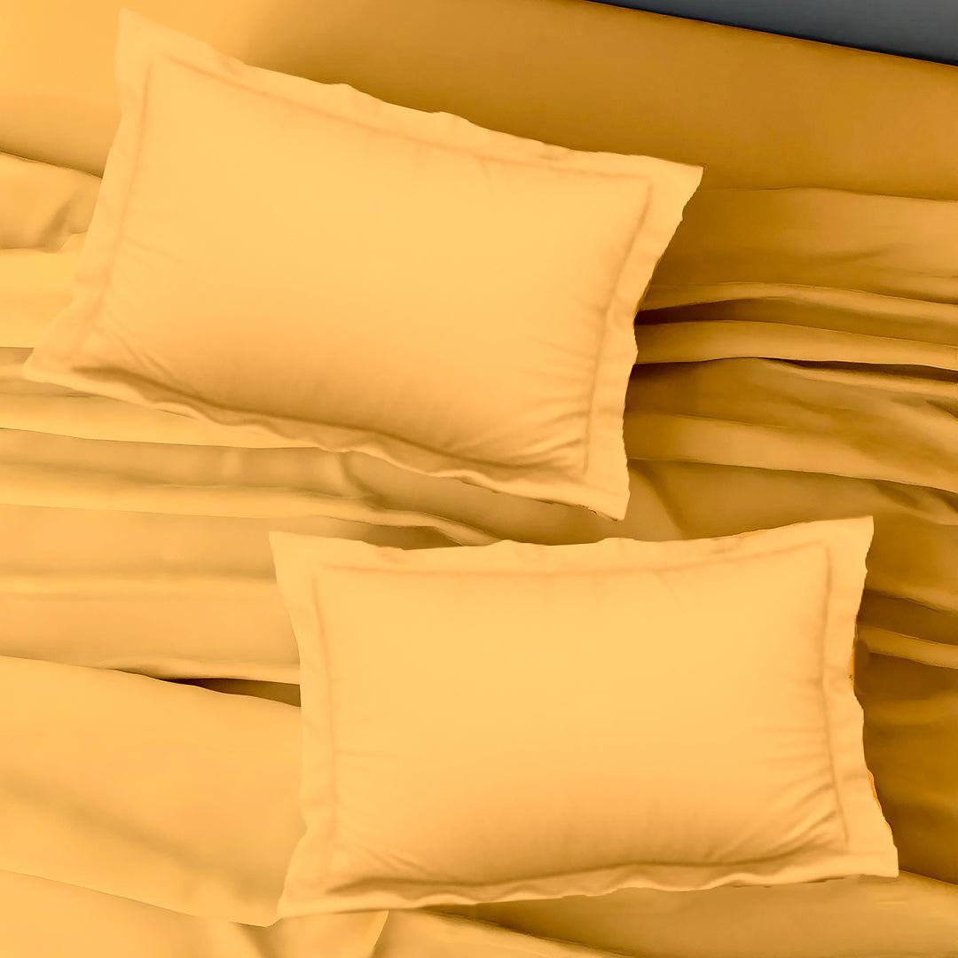 PASTELS 100% Cotton KING Size Bedsheet, 300 TC,GOLD